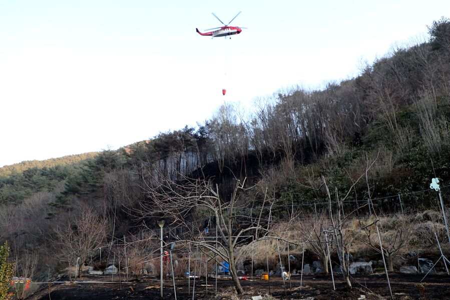 하동군, 산불 ‘사전 차단, 신속 대응’ 5대 전략 수립