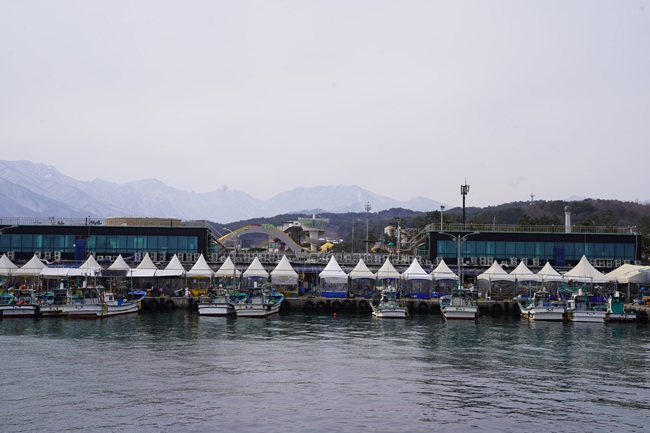 ▲ 속초 항구 모습. ⓒ속초시