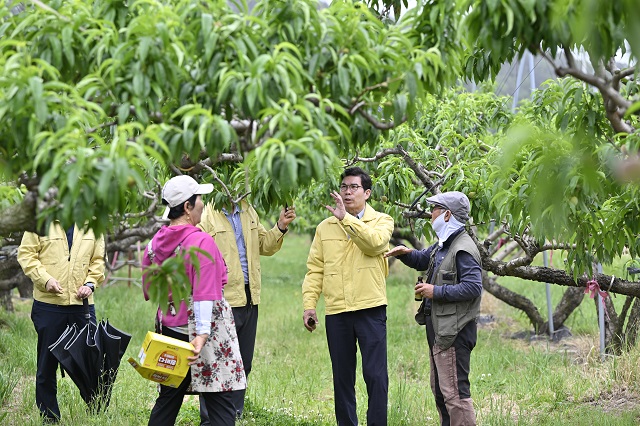 ▲ 김광열 영덕군수가 관내 과수농가를 찾아 소통하고 있다.ⓒ영덕군