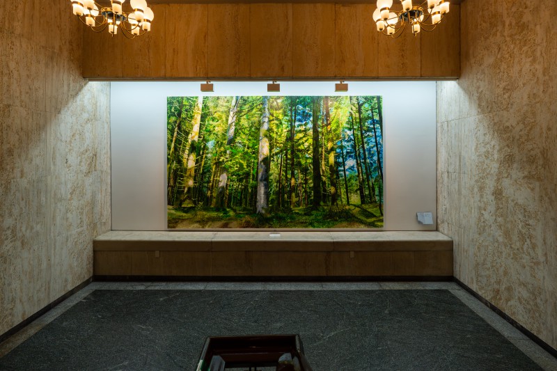 ▲ 변연미 작가의 작품 'spectral forest'.ⓒ세종문화회관