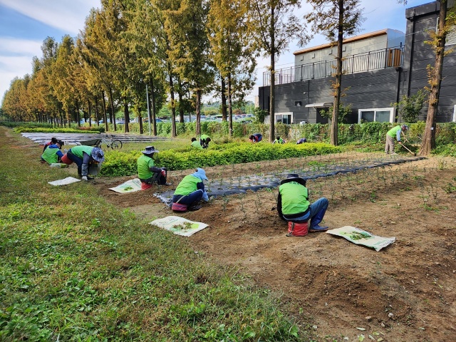 성남시, 지역공동체일자리 참여자 135명 모집