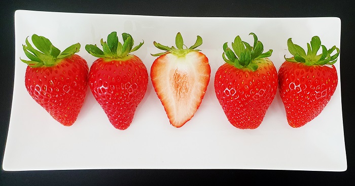 ▲ 충남도농업기술원이 개발한 신품종 딸기 '미향'ⓒ충남도농업기술원