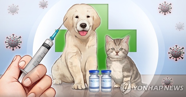 ▲ 반려동물 접종. ⓒ연합뉴스