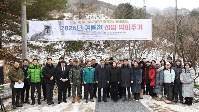 양구군, 15일 국가유산청과 겨울철 산양 먹이주기 행사 개최