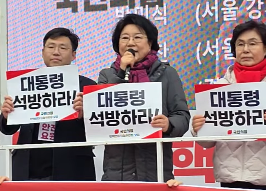 ▲ 이혜훈 기획예산처 장관 후보자가 지난해 2월 15일 서울서부지법에서 헌법재판소까지 진행된 가두행진과 윤석열 전 대통령 탄핵 반대 집회에 참여하면서 연단에 올라 발언하고 있다. ⓒ유튜브 채널 코리아드림뉴스 캡처