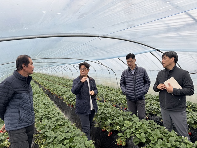 ▲ 경기도교육청과 경기도 및 경기도농수산진흥원 관계자들이 16일 친환경 학교 급식에 참여하는 생산 농가를 찾아 식재료를 살펴보고 있다. ⓒ경기도교육청 제공