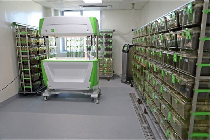 ▲ 충북도 곤충종자보급센터.