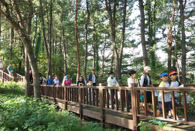 ▲ 삼척 '오랍드리 산소길' 걷기대회 모습. ⓒ삼척시