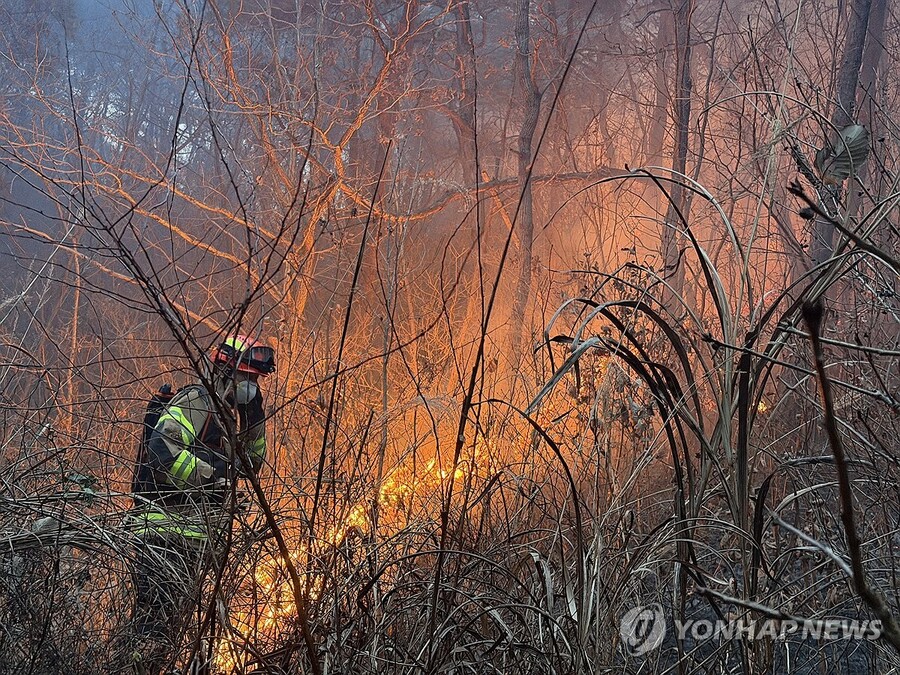 ▲ 10일 오후 경북 의성군에서 대형 산불이 나 산불 대응 2단계와 소방 대응 2단계가 발령된 가운데 한 소방관이 진화에 나서고 있다. ⓒ연합뉴스