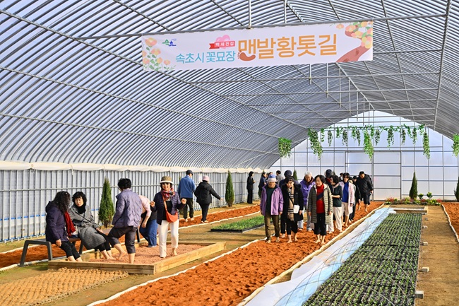 ▲ 꽃묘장 맨발 황톳길 모습. ⓒ속초시