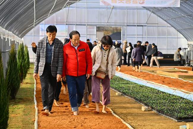 ▲ 꽃묘장 맨발 황톳길 모습. ⓒ속초시