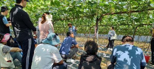 ▲ 영동군, 농업인 안전보험 90% 지원.ⓒ영동군