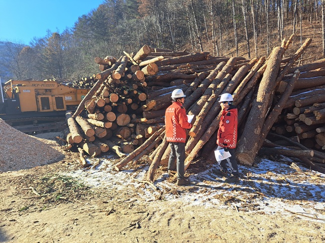 ▲ 송준호 북부지방산림청장이 21일 춘천국유림관리소를 방문해 산불재난 대응체계 점검과 소나무재선충병 수종전환 방제사업지에 대한 현장점검을 실시했다. ⓒ북부지방산림청