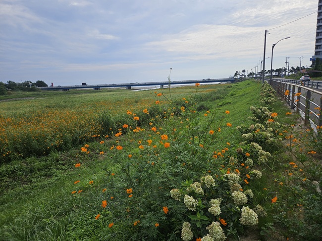 ▲ 최우수에 선정된 강현면 이장협의회의 '쌍천 가꾸기 사업'.ⓒ양양군