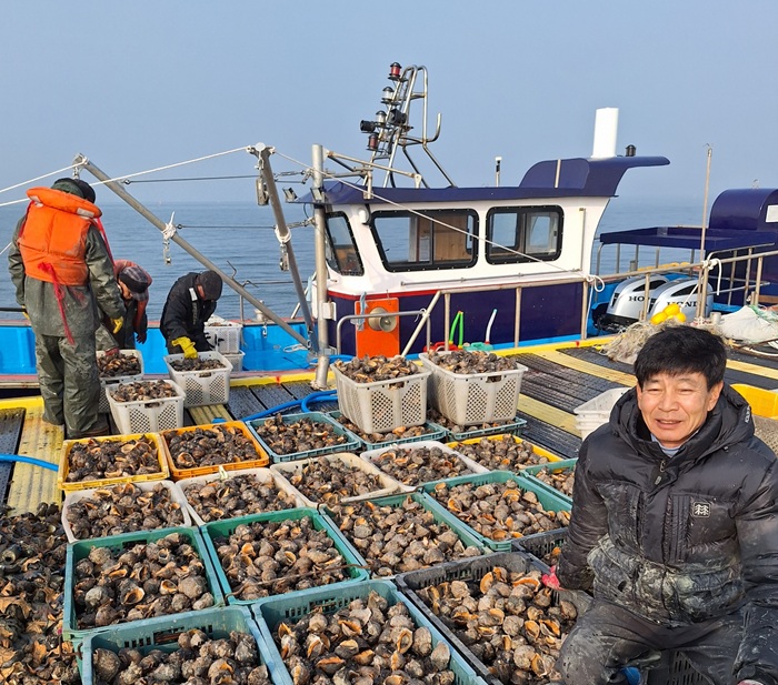 ▲ 23일 새조개 집산지 홍성 '남당항'의 참소라 대풍에 어민들이 함박 웃음을 짓고 있다.ⓒ홍성군