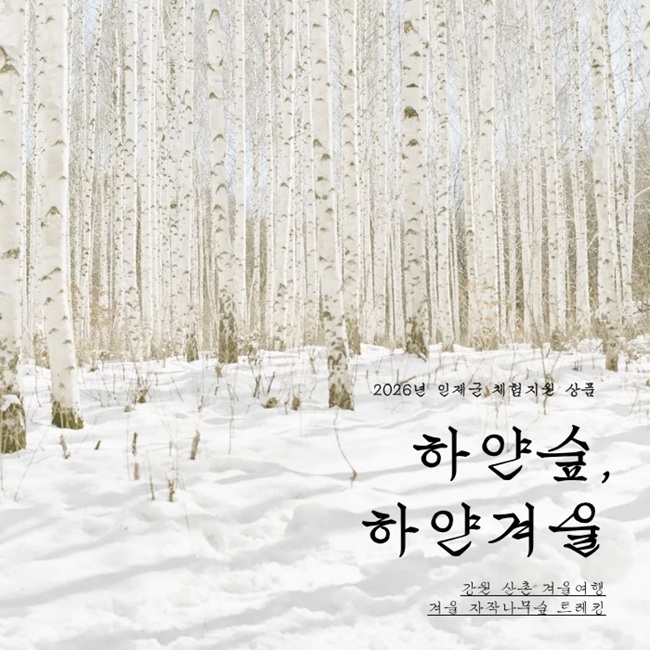 ▲ 하얀숲, 하얀겨울 프로그램 홍보물. ⓒ인제군