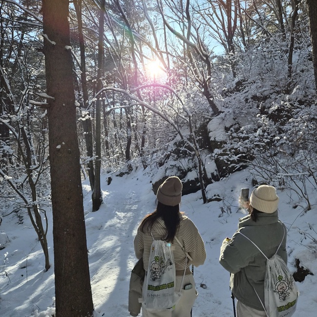 ▲ 자작나무숲 트레킹 모습. ⓒ인제군