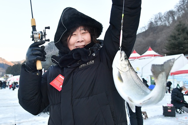 ▲ 25일, 주말을 맞아 이른 아침부터 화천산천어축제장을 찾은 관광객들이 산천어 얼음낚시터에서 산천어를 낚아 올리며 즐거워하고 있다. ⓒ화천군