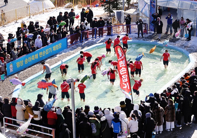 ▲ 25일 휴일을 맞아 강추위에도 불구하고 강원도 평창군 진부면 오대천 일원에 열린 평창송어축제를 찾은 방문객들이 송어 맨손잡기 체험을 즐기고 있다. 올해 축제는 내달 9일까지 방문객을 맞는다. ⓒ평창관광문화재단