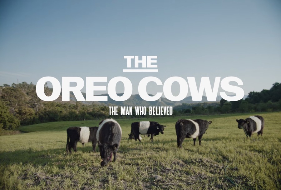 ▲ 오레오의 'The Oreo Cows' 캠페인. ©Oreo