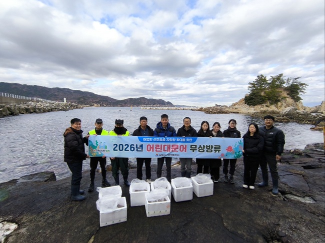 ▲ 삼척시가 대문어 자원 회복의 일환으로 지난 16일부터 노곡어촌계를 시작으로 어촌계 3개소에 각각 1만 마리씩, 총 3만 마리의 어린 대문어를 무상 방류했다. ⓒ삼척시