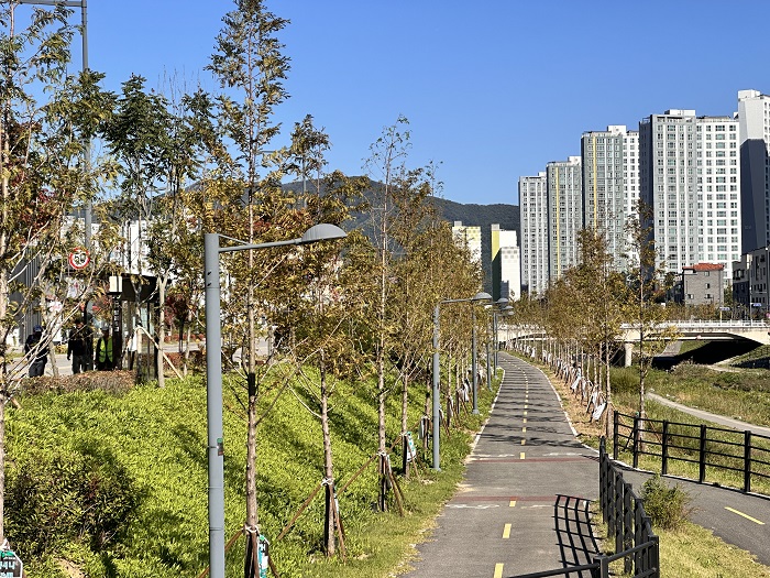 ▲ 청주시가 기후문제 대응을 위해 25년 추진한 월운천 도시바람길 숲.