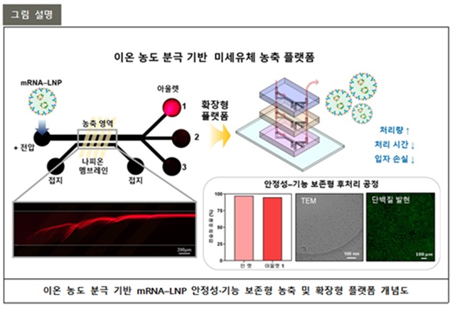 ▲ 연구 관련 그림.ⓒ포스텍