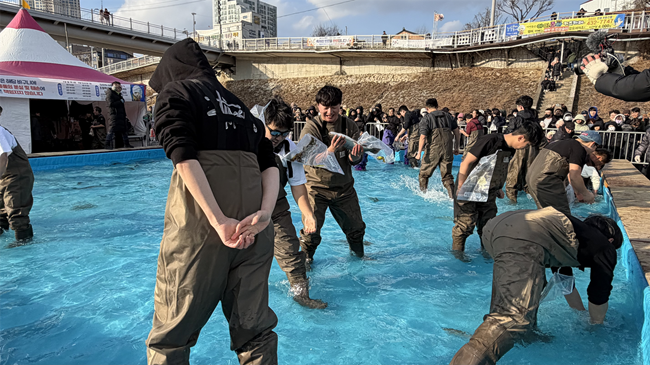 ▲ 인삼송어 맨손잡기에 나선 관광객들. ⓒ홍천문화재단