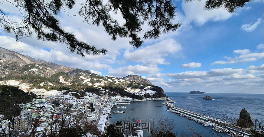 ▲ 울릉도 최대 어업전진기지 '저동항' 전경ⓒ뉴데일리