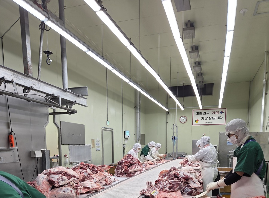 ▲ 1차 가공 현장에서 작업자들이 정형과 발골 작업을 하고 있다. ⓒ남수지 기자