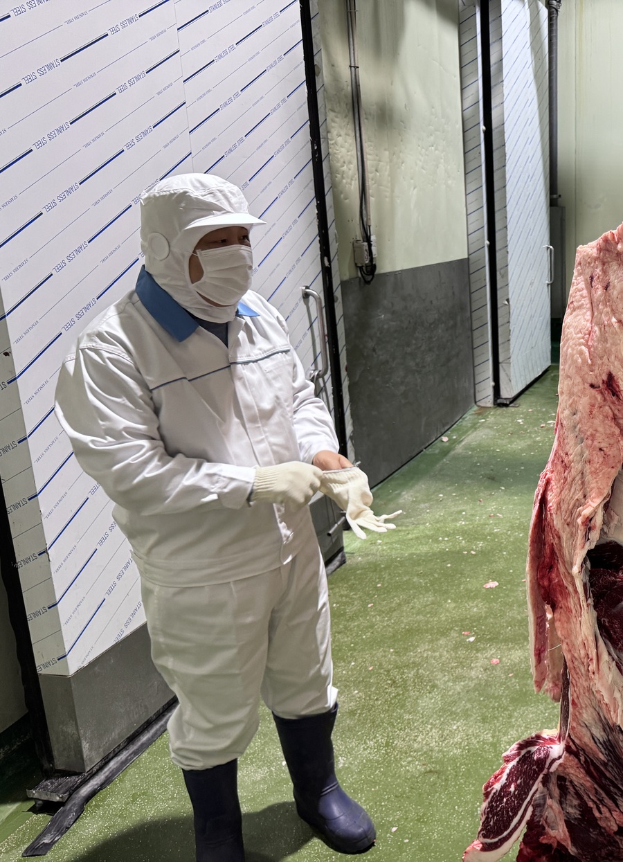 ▲ 강 부장이 4분도체된 소를 설명하고 있다. ⓒ남수지 기자