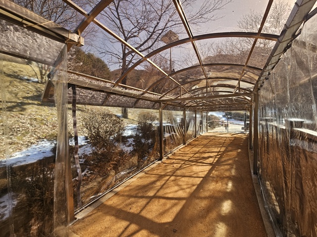 ▲ 안양시 병목안시민공원 맨발산책길 구간에 방한 비닐막이 설치돼 있다. ⓒ안양시 제공