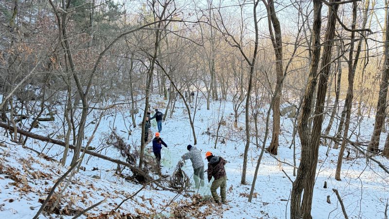 ▲ 아산 영인산 일대에서 야생동물 포획을 목적으로 밀렵꾼들이 설치한 불법 포획도구에 대한 합동 수거 활동이 벌어지고 있는 모습.ⓒ아산시