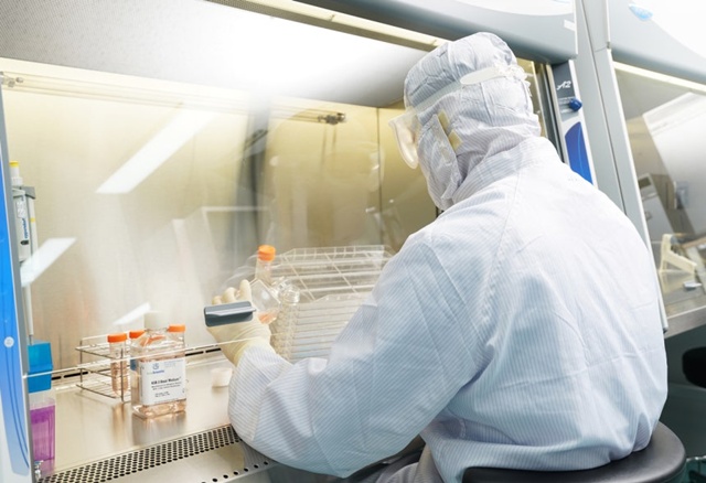 ▲ 강스템바이오텍 직원이 줄기세포 의약품 제조 및 품질관리(GMP) 허가시설에서 줄기세포 배양 공정을 진행하고 있다. ⓒ강스템바이오텍