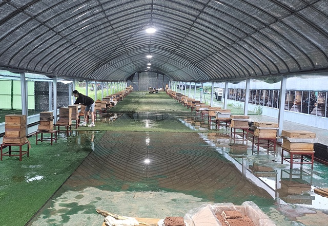 ▲ 한봉(토종벌) 농가. ⓒ경기도 제공