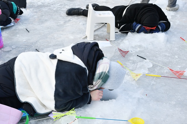 ▲ 2026 화천산천어축제 폐막을 하루 앞둔 31일, 축제장을 찾은 관광객들이 산천어 얼음낚시를 즐기고 있다. ⓒ화천군
