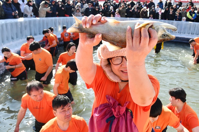 ▲ 2026 화천산천어축제 폐막을 하루 앞둔 31일, 축제장을 찾은 관광객들이 산천어 맨손잡기장에서 잊을 수 없는 추억을 쌓고 있다. ⓒ화천군