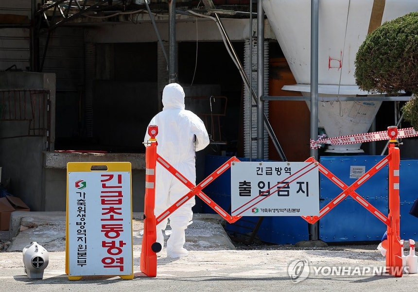 ▲ 긴급초동방역 강화 관련 자료사진 ⓒ연합뉴스