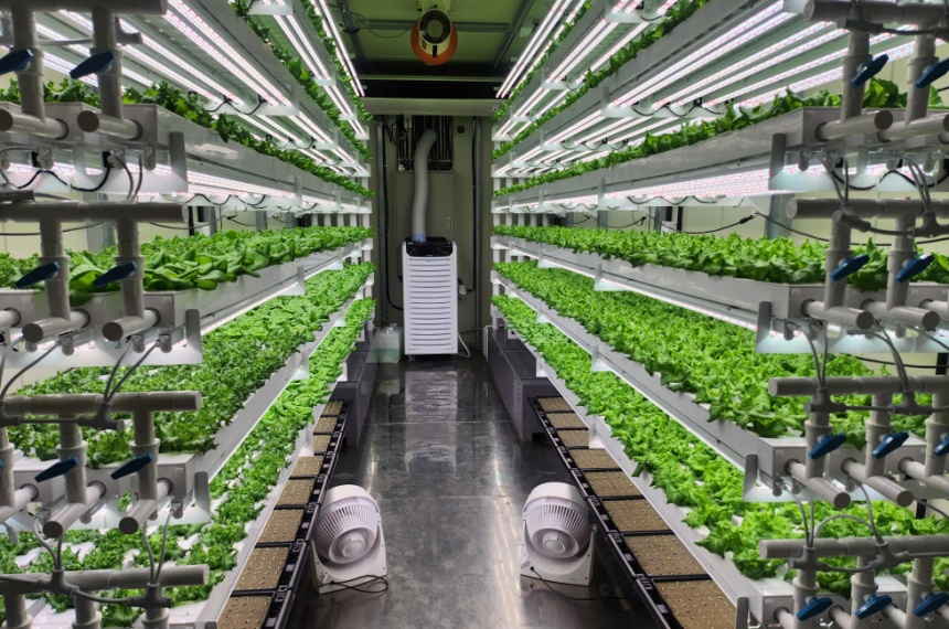 ▲ 컨테이너형 수직농장 내부 모습 ⓒ고양특례시 제공