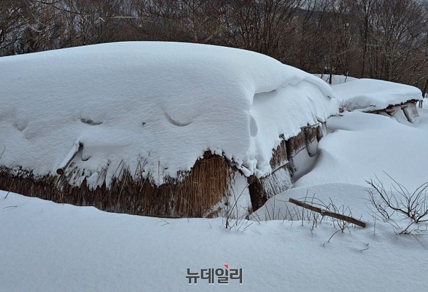 ▲ 나리분지 너와집이 눈으로 뒤덮여 있다.ⓒ뉴데일리DB