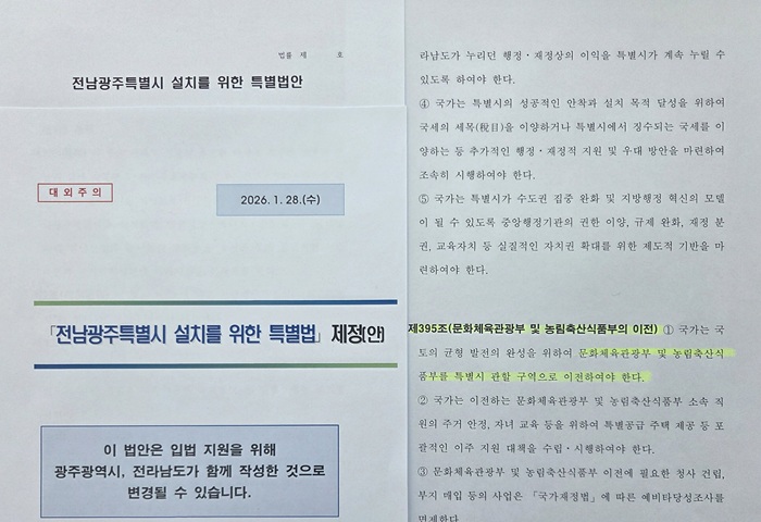 ▲ 전남광주특별시 설치를 위한 특별법 제정안 초안.ⓒ국민의힘 세종시당