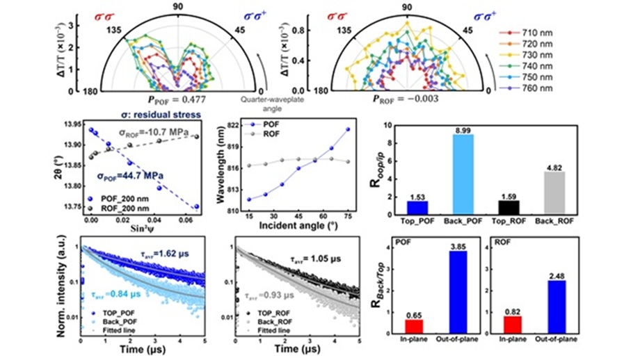 ▲ 단일 면으로 배향된 α-FAPbI₃ (POF) 반도체 박막에서 원형 편광에 의해 발견된 비선형적인 결과는 전하를 더 오래 간직할 수 있는 능력을 나타낸다. 이는 박막 내에 존재하는 비 등방성의 잔여 응력에 의해서 미세한 뒤틀림의 결과로 나타난다.ⓒ성균관대