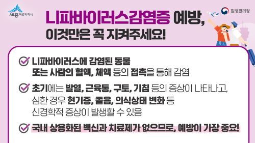▲ 니파바이러스 예방 수칙 홍보 이미지.ⓒ세종시