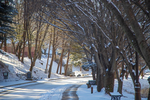 ▲ 하얀 눈에 덮여 더욱 성스러운 ‘안성 미리내성지’ ⓒ경기관광공사 제공