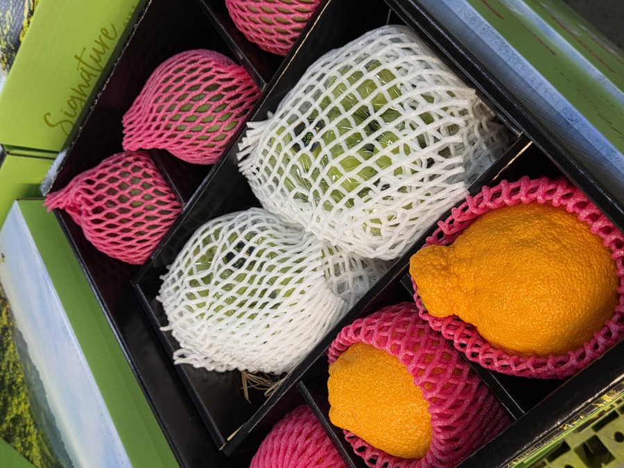 ▲ 작업자들이 선별된 사과를 박스에 조심스럽게 담고 있다. ⓒ남수지 기자