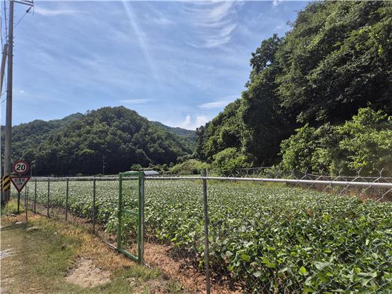 ▲ 지난해 충북 단양군 매포읍 응실리에 설치된 야생동물 피해예방시설. ⓒ단양군