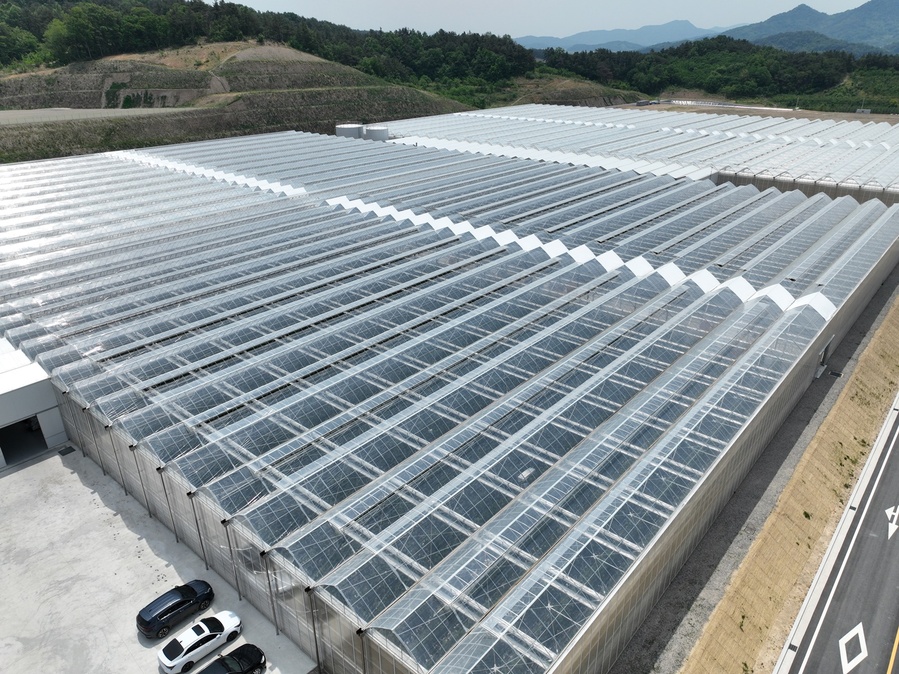 ▲ 스마트농업육성지구 전경.ⓒ경북도