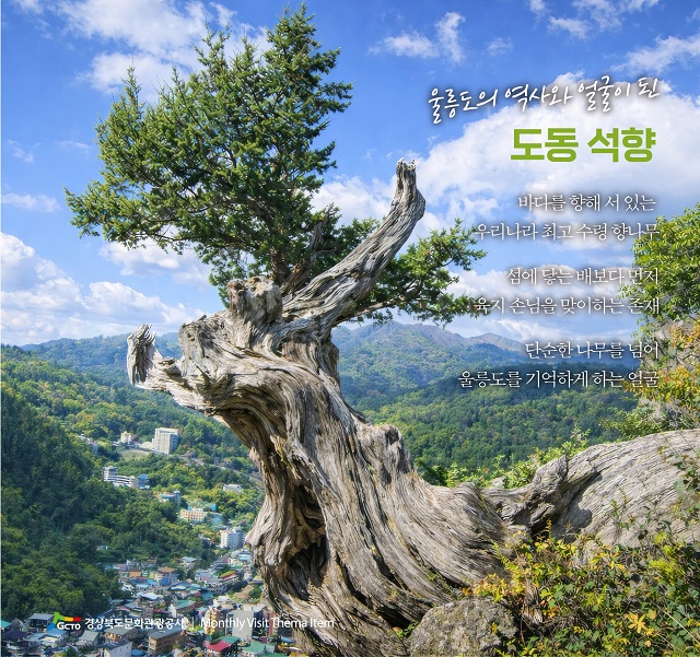 ▲ 울릉도 도동의 석향.ⓒ경북관광공사