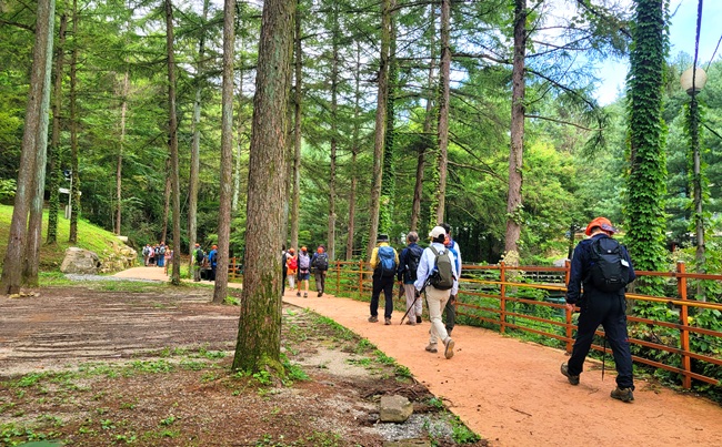 ▲ 지난해 운영된 함께걷기 모습. ⓒ원주시