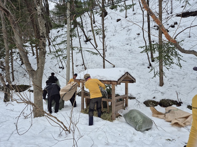 ▲ 지난해 진행된 겨울철 산양 먹이주기 행사. ⓒ삼척시
